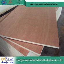 18mm Bintangor Faced Plywood para muebles